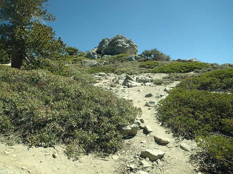 2014 Mt Baldy Cali 061.JPG - Summit Mt San Antonio (Mt Baldy) California